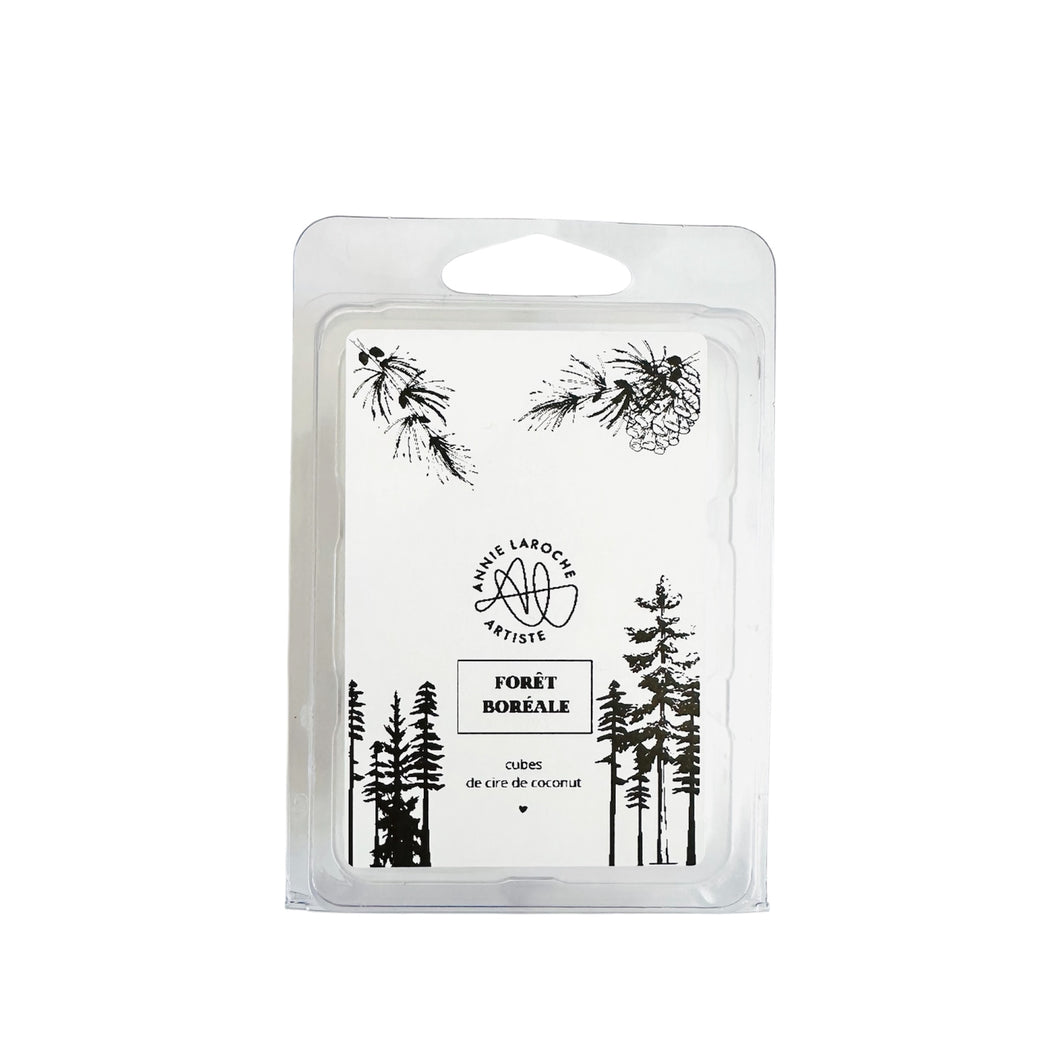 CUBES DE CIRE FORÊT BORÉALE